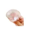 Goma suave tpr casero diy concha bola descompresión océano cuero vacío hecho a mano bola juguete pellizcar música waterpolo gota bola de polvo de oro