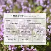 Aceite Esencial de Cajeput, Aceite Esencial Puro de Origen Vegetal Único, Aceite Esencial de Masaje Hierba Almizclera para Aromaterapia, Materias Primas