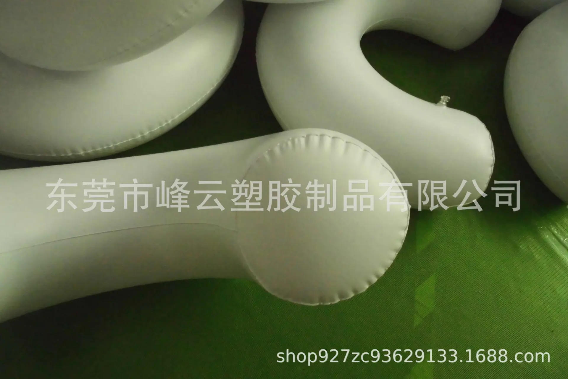 CIMG1533