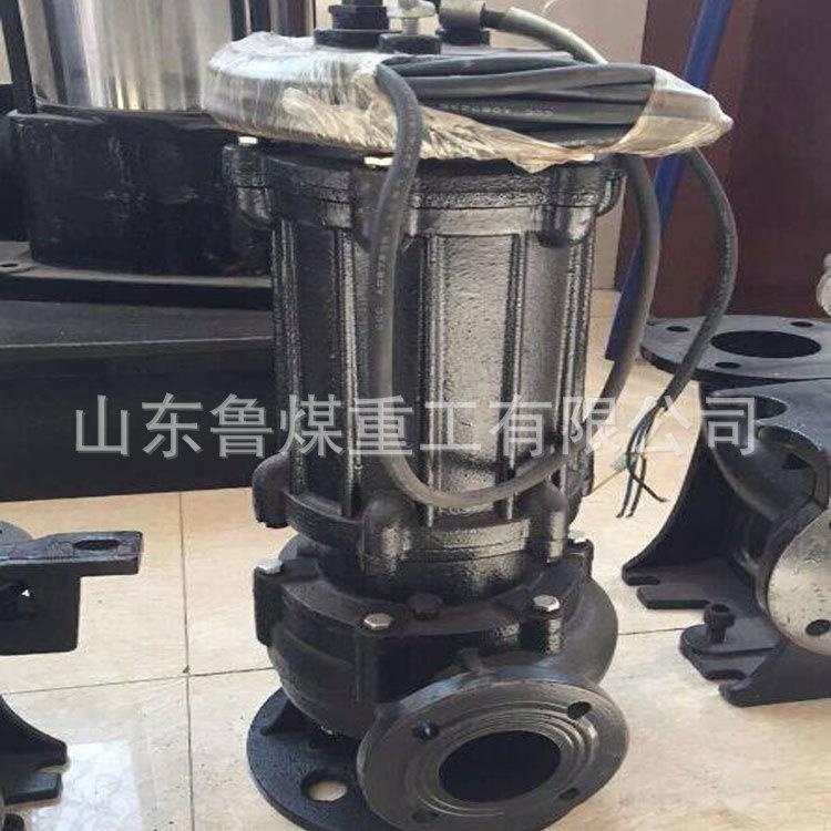 AS-AV撕裂潜水排污泵3