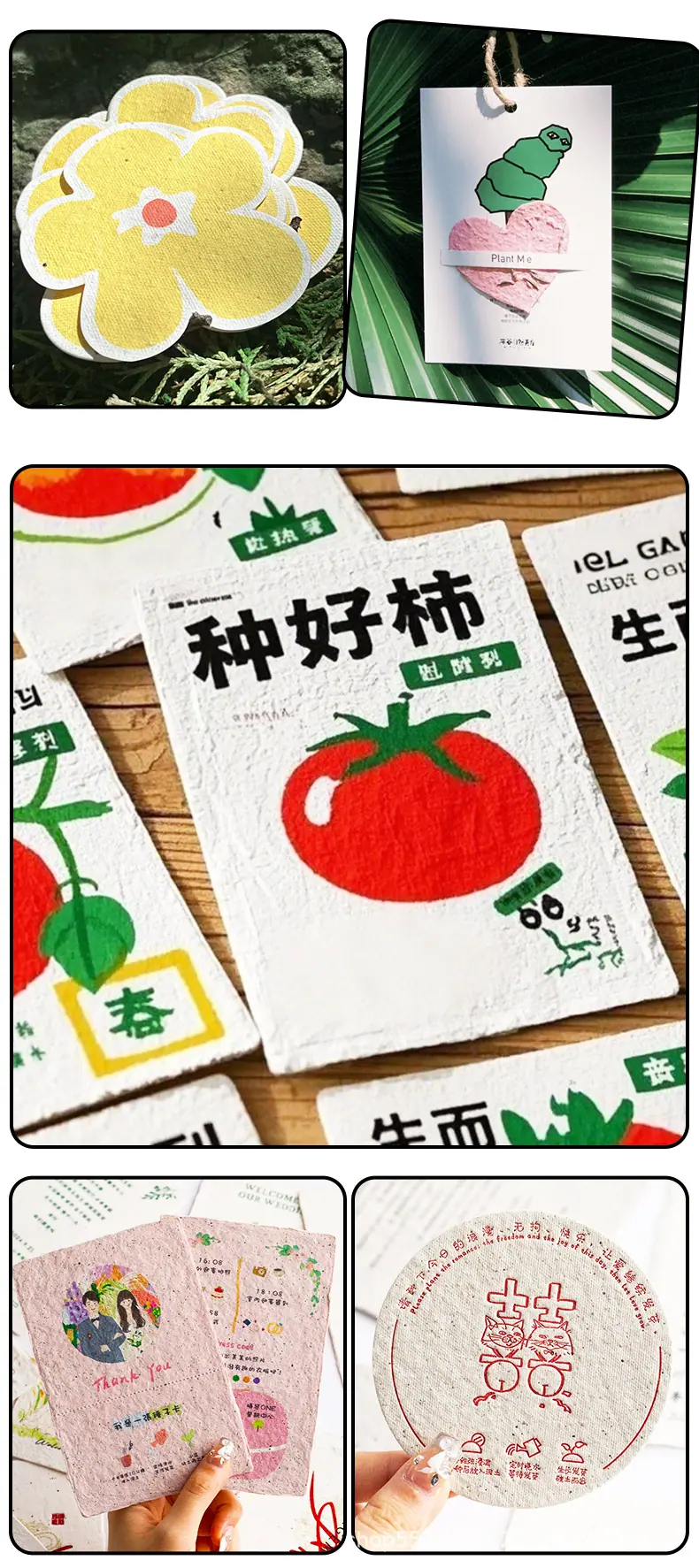 种子纸-套版3_05.jpg