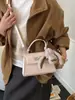Bolsa Pequena Quadrada de Design Nicho Estilo Coreano para Mulheres 2025 Inverno Nova Moda Casual Versátil de Ombro Transversal