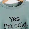 Amazon Cross-Border Outono e Inverno Tops Femininos Comércio Exterior Outono e Inverno Sim Estou com Frio Estampado Casual Solto Moletom