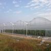Invernadero multicapa, invernadero para hortalizas, frutas y flores, invernadero para cultivo con estructura de acero, invernadero parasol agrícola, instalación