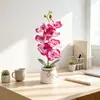 Artículo popular transfronterizo: 7 orquídeas Phalaenopsis artificiales con tacto realista, bonsái de flores artificiales para fotografía y decoración de bodas, accesorios de plantas artificiales en maceta