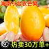 Hainan Xiaotainong Manga Fresca 5kg Fruta da Estação Caixa Fechada Frete Grátis Grande Especialidade Tropical Manga