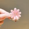 Pinza pequeña de metal estilo Xiaoxiangfeng Pinza para flequillo de pelo Ju Xiaozou Clip con borde de flor de piedra ojo de gato Accesorios para el cabello
