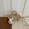 Bolso de Moda Femenino Exquisito y Moderno para Primavera y Verano 2026 Transfronterizo con un Toque de Alta Gama, Bolso tipo Almohada de Hombro Único