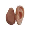 Modelo de Orelha Simulada Feito de 1:1 Escala de Material de Silicone para Testes de Acupuntura e Aparelhos Auditivos