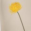 Alfiletero de Simulación Flor Espina Silvestre Apio Rama Única Flor Tyrannum Flor Garra de Cangrejo Erizo de Mar Crisantemo Flor Artificial Flor de Plástico Boda Decoración del Hogar