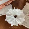 Lazo de Encaje Beige de Alta Gama, Dulce y Suave para el Cabello para Mujeres con un Estilo de Moño Moderno y Elegante