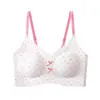Venda Direta da Fábrica Vietnã Lingerie Sutiã Feminino Transfronteiriço Rússia Taiwan Amazon Mais Vendido Europeu Americano Tailândia