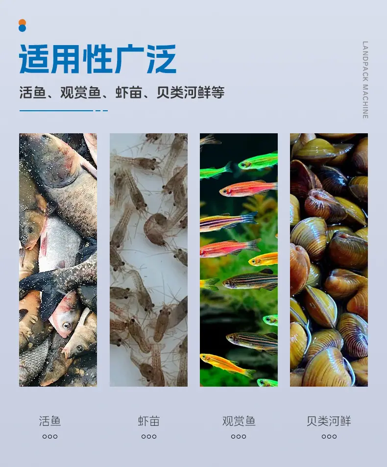 LD-520倾斜式+笋壳鱼+英姐_03.jpg