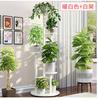 Estante para Flores de Rábano Verde Estante de Almacenamiento Multicapa para Interior Sala de Estar Dormitorio Balcón Hierro Estante para Macetas de Pie Producto Nuevo