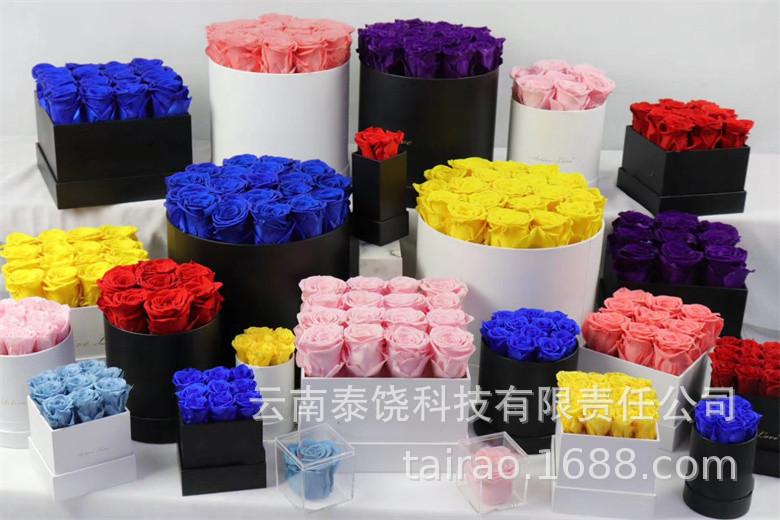 6acabd26209a6505245bf397a79367