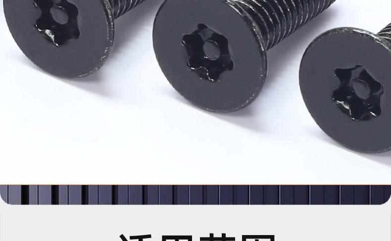304不锈钢镀黑锌防盗沉头梅花机牙螺丝_03_20.jpg