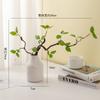 Planta artificial verde fresca planta artificial sala de estar arranjo de flores interno decoração decoração de mesa de hotel decoração suave flor