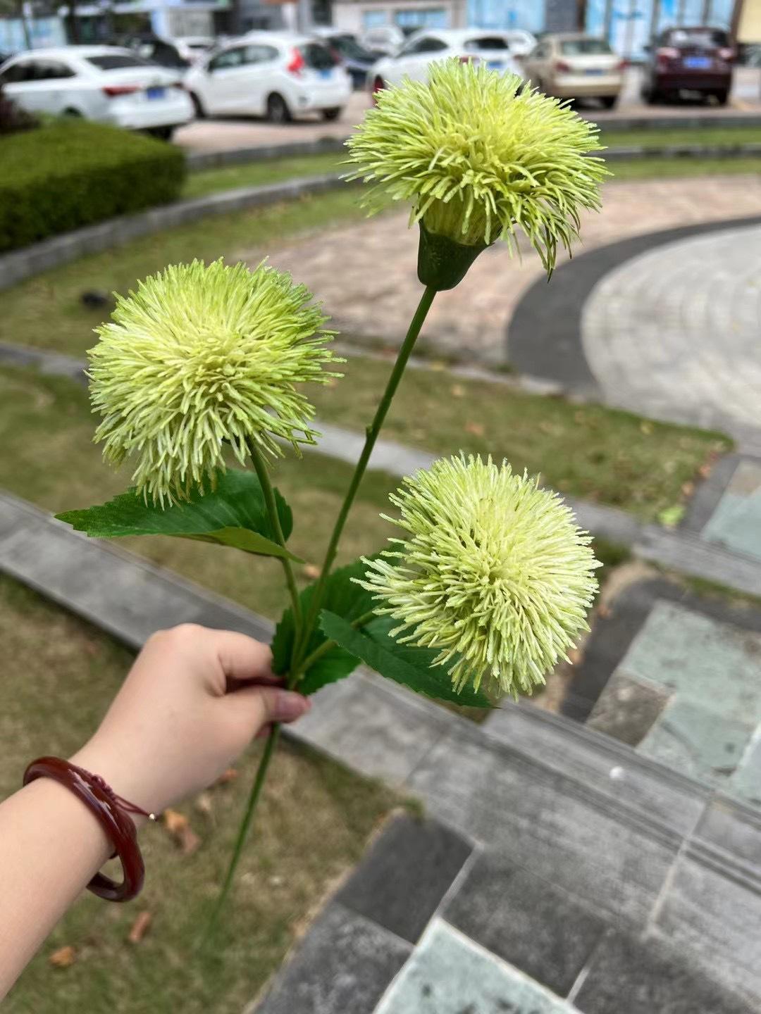 微信图片_20240724141221.jpg