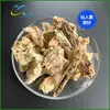Extracto Líquido de Cactus, Esencia de Cactus, Extracto de Cactus Ruilin, En Stock con Envío Gratis, Materias Primas Cosméticas