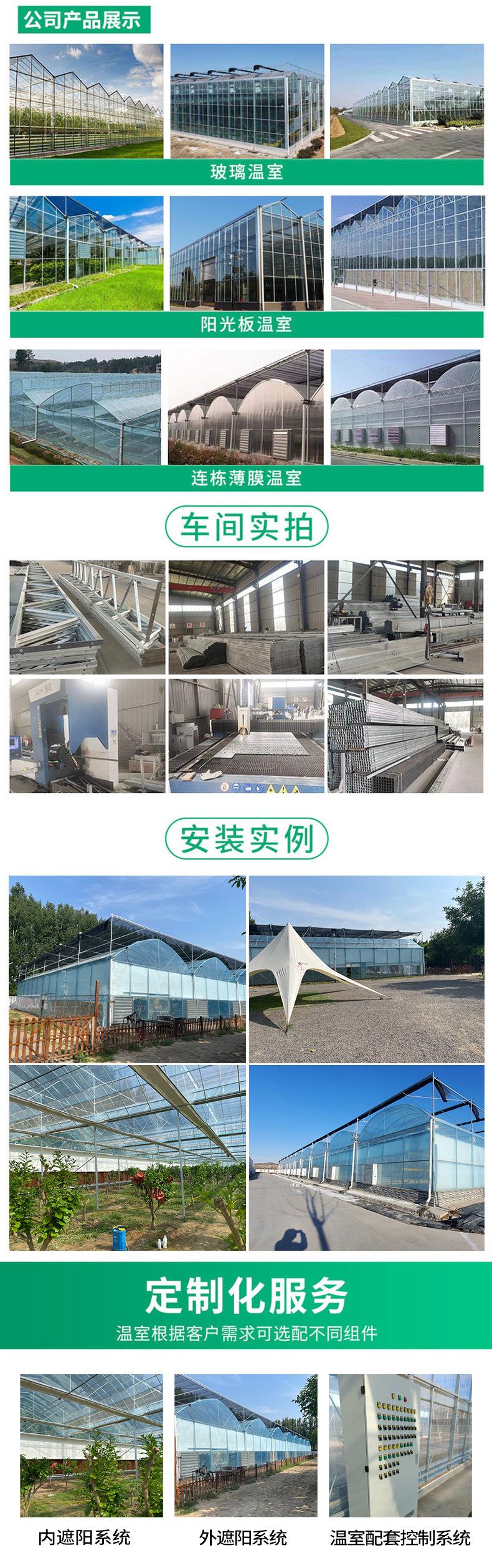 未标题-1