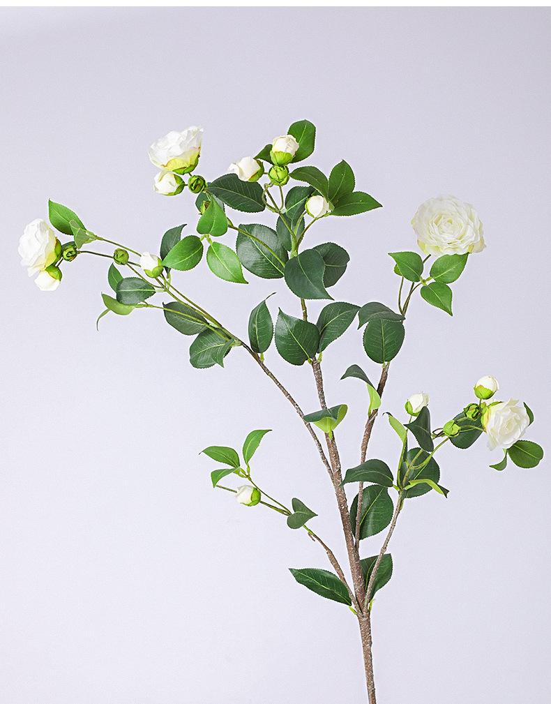 大枝茶花详情图