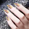 Peças de nail art direto da fábrica para usar nail olho de gato, Aurora, patches de nail art de cor mágica podem ser personalizados e desenhados