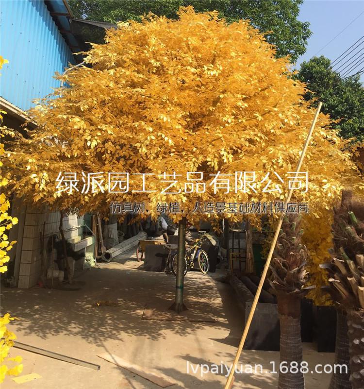 榕树061.jpg
