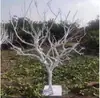 Galho seco galho de paisagismo tronco decoração galho seco árvore morta decoração de árvore branca galho galho seco galho seco galho de madeira morta