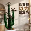 Cacto Artificial Pequeno para Paisagismo, Decoração de Paisagem Interna de Canto de Parede, Ornamento de Planta Verde Biomimético Tropical Falso