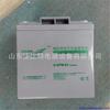 Batería Kehua Jingwei 6-GFM-24-YT plomo-ácido sin mantenimiento 12v24ah EPS UPS respaldo almacenamiento de energía