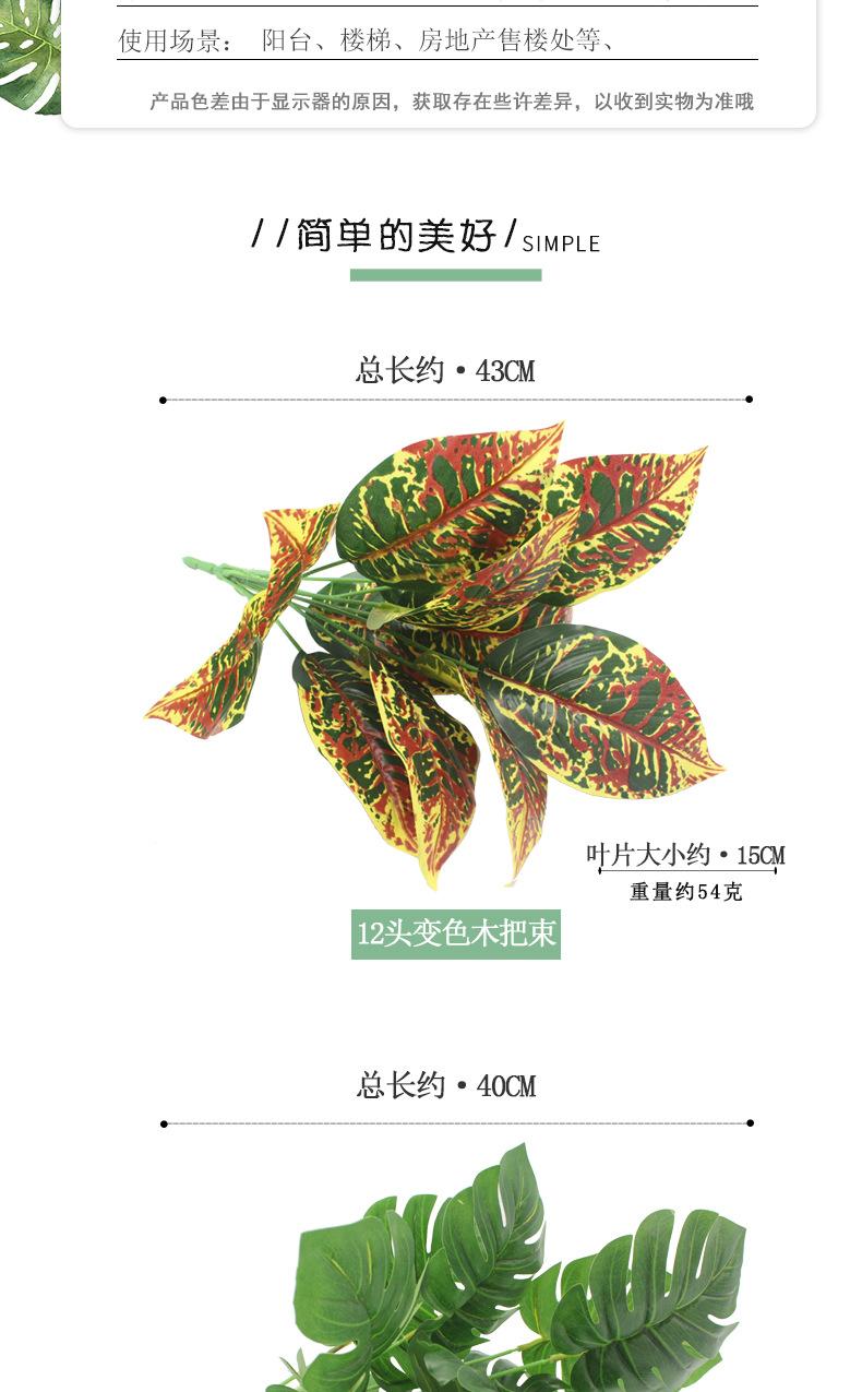 植物把束_02