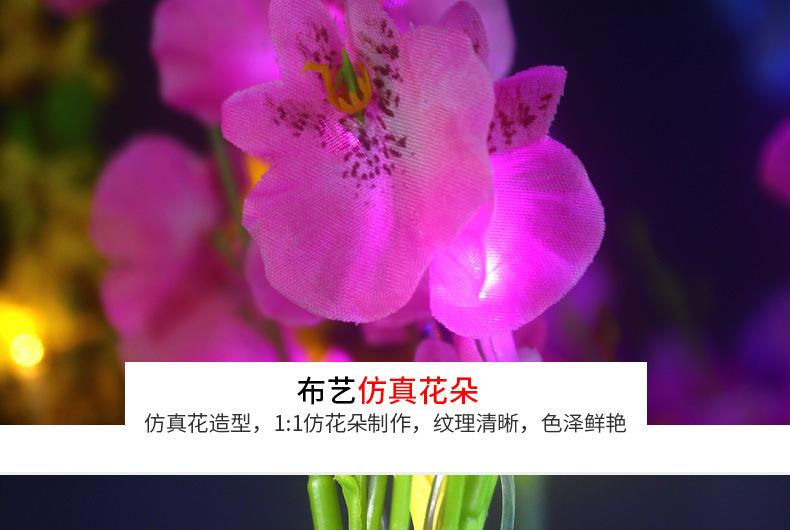 详情_01_17.jpg