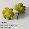 Suculentas Simuladas, Decoraciones de Plantas Verdes, Combinación de Mini Adornos de Cactus, Plantas Suculentas en Maceta, Bonsái al Por Mayor