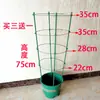 Suporte de Flores para Trepadeira, Haste de Suporte para Planta Dinheiro Epiphyllum, Estrutura de Trepadeira Expansível Garra de Caranguejo Ampliada Fixa para Orquídea Bougainvillea