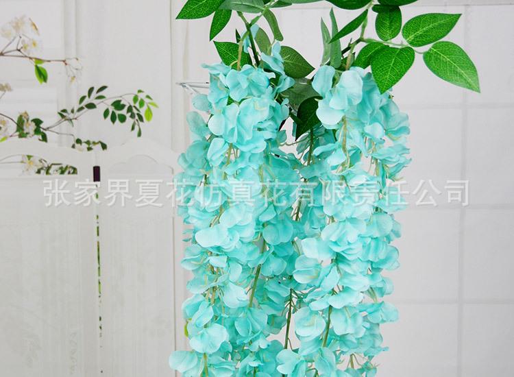 3头豆花紫藤_27.jpg