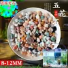 Arena de fondo para acuario, piedras decorativas, juego completo de piedras florales de lluvia ecológicas naturales, piedras luminosas y piedras en bruto