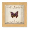 Moldura de Foto com Espécime de Borboleta Real Pintura Decorativa de Madeira DIY Moldura de Foto Retrô Decoração de Mesa Móveis Presente de Aniversário