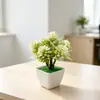 Mini 7 Hierba de Peonía Transfronteriza No. Maceta Cuadrada 1248 Bonsái Oficina Hogar Escritorio Flor de Simulación Planta Pequeña en Maceta Adorno