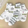 Meias Femininas Verão Finas Respiráveis Estilo Coreano ins Tendência Fofas Versáteis Listradas de Gatinho Cor Sólida Meia de Cano Médio