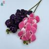 Padrão de modelagem 7 cabeça Phalaenopsis cola sentir Phalaenopsis estúdio fotográfico adereços flor de simulação janela bonita Chen