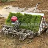 Exportado al Sudeste Asiático Transplantadora de Arroz Tirada a Mano 4 Filas 6 Filas Máquina de Trasplante de Arroz Impulsada por Motor de Gasolina