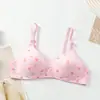 Venta Directa de Fábrica Comercio Exterior Transfronterizo Ropa Interior Femenina Estampada Delgada Hebilla de Dos Filas Sin Aros Sujetador Push-Up Cómodo