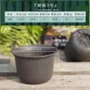 Vaso Curto para Planta Suculenta Espessa Vaso de Flores Raiz de Suculenta Flor Phalaenopsis Muda de Planta Verde Semeadura em Vaso Planta de Vaso Durável