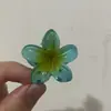 Vietnam Explosiones 4cm Flor de Huevo Pasador Flor de Bauhinia Pinza para Cabello Tiburón Alto Accesorios para el Cabello Venta al por Mayor