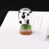 Set de Piedras Brutas de Cristal Natural, Piedra Triturada, Gemas para Árbol de la Fortuna, Minerales Raros, Muestras para Niños, Adornos de Regalo para Escritorio