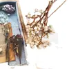 Decoraciones Navideñas, Piñas, Flores Secas, Adornos Creativos Hechos a Mano DIY de Material de Bosque, Decoraciones para Entorno de Jardín de Infancia