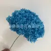 Flor Preservada Haste Única Hortênsia Anna Anna Folha Pequena Bella 40 Cores Personalizado Atacado Presente Dia dos Professores