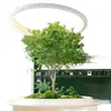 Madera borracha de caballo de alta gama simulación planta ventana paisajismo decoración interior árbol biónico plantación verde árbol falso grande paisaje simple