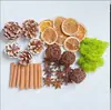 Fruta Fixa Natural Planta Fruta Casca Espécime Material Decoração Flores Secas Fatias Jardim de Infância DIY Pacote de Material de Natal