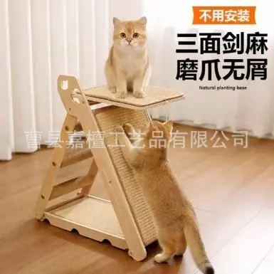 微信图片_20260506094635_492_279
